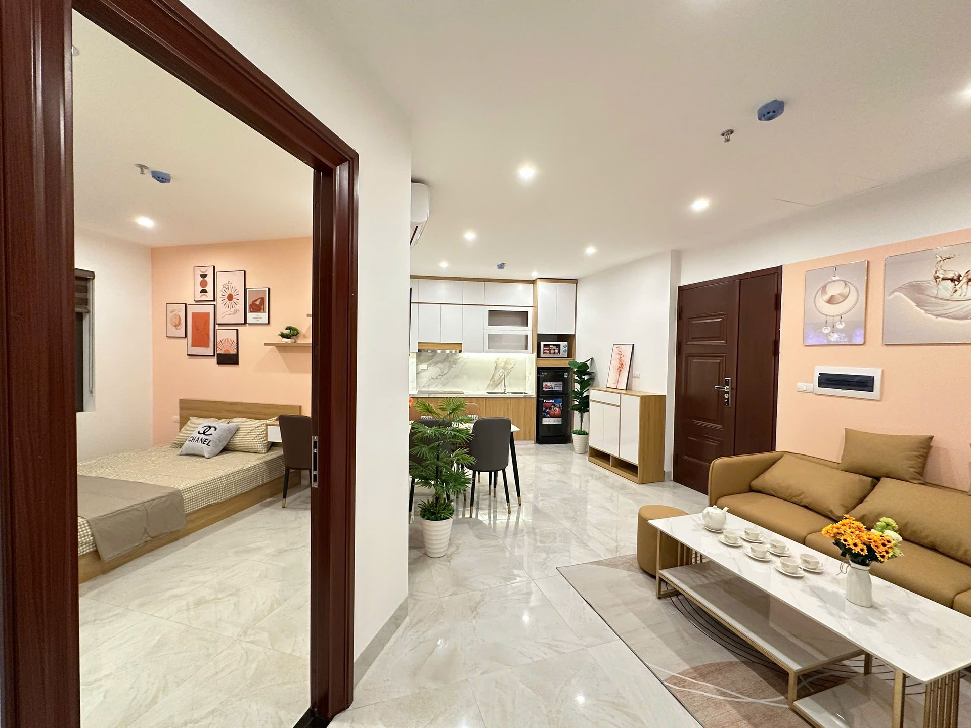 Giới thiệu về VIHOME PLUS